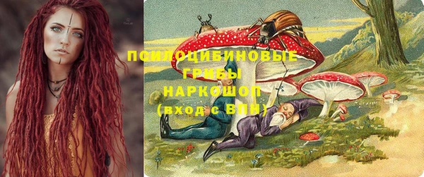 гидра Алексин
